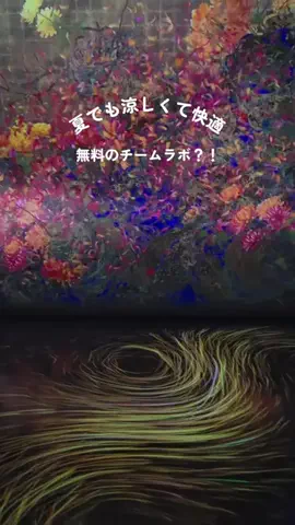hana_no_odekakeのTikTok投稿