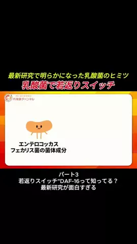 【公式】胃と腸の健康解説 内視鏡チャンネルのTikTok投稿