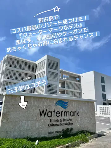 おじさんのTikTok投稿