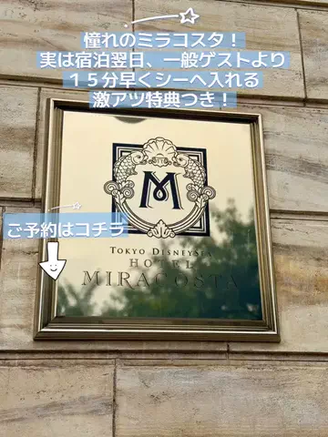 おじさんのTikTok投稿