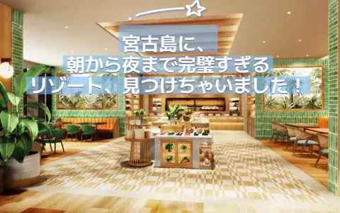 おじさんのTikTok投稿