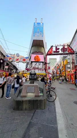 なずな🍡下町グルメ｜浅草・上野・谷根千・北千住のTikTok投稿