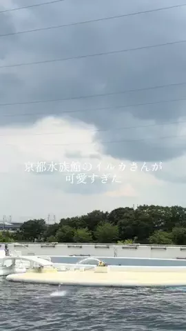 ４姉妹のTikTok投稿