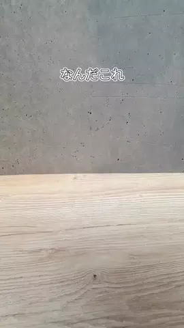 愛されたいちゃん♡のTikTok投稿
