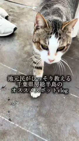 拝啓、道の駅からのTikTok投稿