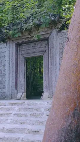 異世界日本 / 秘境を巡る人のTikTok投稿
