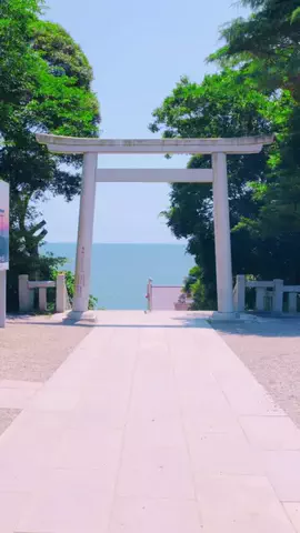 異世界日本 / 秘境を巡る人のTikTok投稿