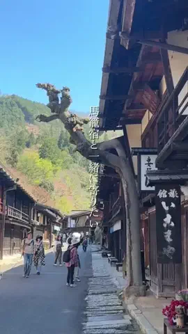 tabishiyoのTikTok投稿