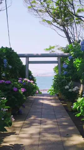 異世界日本 / 秘境を巡る人のTikTok投稿