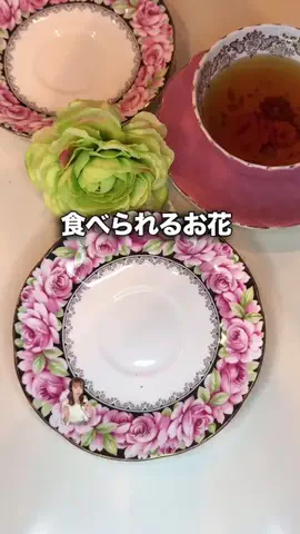 芦田純子 | 関西グルメ旅をワイプ実況する人のTikTok投稿