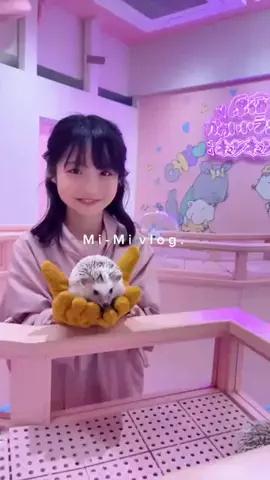 みぃみ🧸🍨🎀のTikTok PR投稿：昨日は撮影とボイトレの空き時間に @原宿かわいいランド…