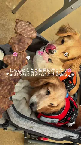𝐅𝐮𝐦𝐢.⋆𝜗𝜚のTikTok投稿