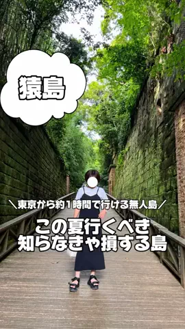韓国メロンのTikTok投稿