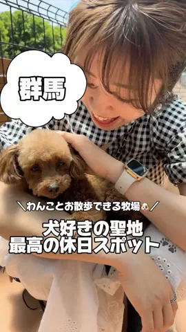 韓国メロンのTikTok投稿