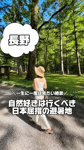 韓国メロンのTikTok投稿