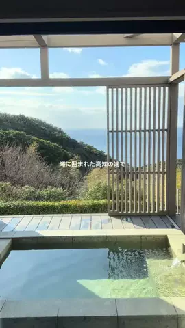 韓国メロンのTikTok投稿