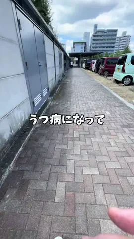 あめだま会社員のTikTok投稿