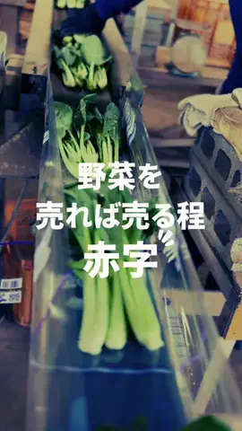 みさ│田舎の汚部屋を都会育ちの妻が大革命のTikTok投稿