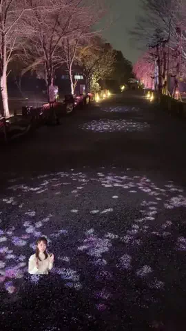 芦田純子 | 関西グルメ旅をワイプ実況する人のTikTok投稿