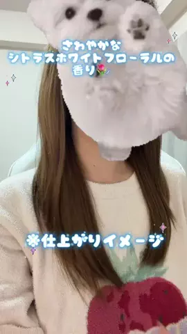 美容大好きお姉さんのTikTok投稿