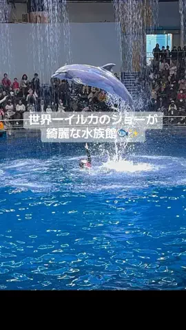 みおり/miori🧸🎀のTikTok PR投稿：#春休みキャンペーン2 #春休みキャンペーン #PR #TikTokGO #お…