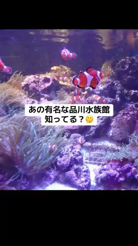 みおり3/30終了(配信)🧸🎀のTikTok投稿
