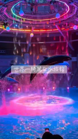 みおり3/30終了(配信)🧸🎀のTikTok投稿