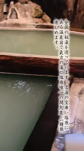 Fuki Fu-campのTikTok投稿