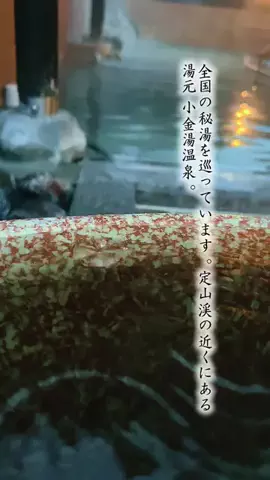 Fuki Fu-campのTikTok投稿