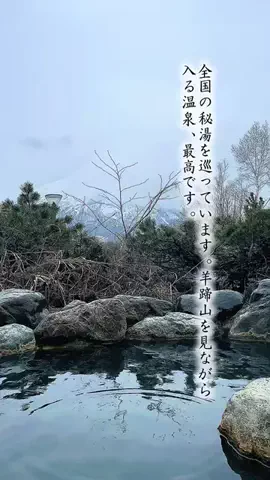 Fuki Fu-campのTikTok投稿