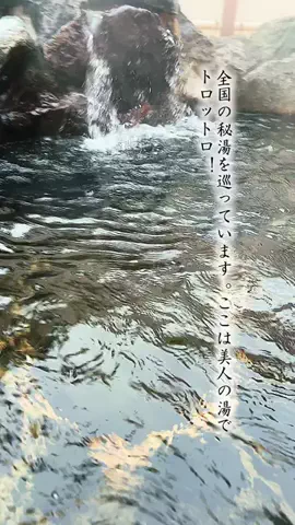Fuki Fu-campのTikTok投稿