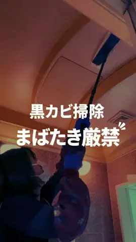 みさ│田舎の汚部屋を都会育ちの妻が大革命のTikTok投稿
