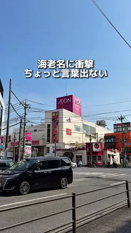 えびなびのTikTok投稿