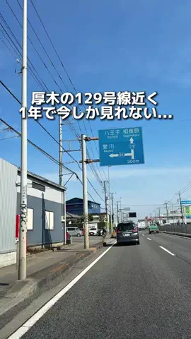えびなびのTikTok投稿