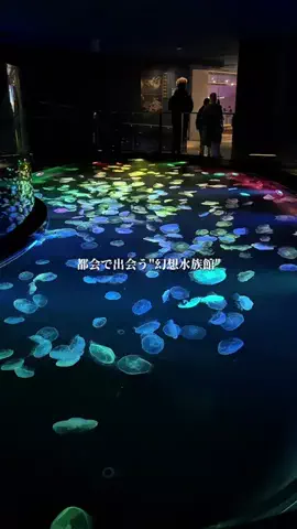 東京おでかけのTikTok投稿