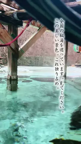 Fuki Fu-campのTikTok投稿