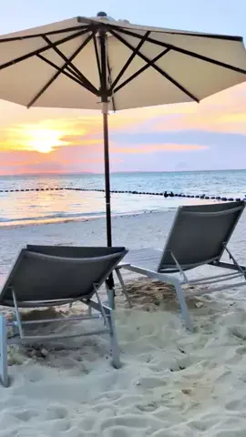 デンじょーの旅のTikTok投稿