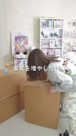 ちゃんめぐのTikTok投稿