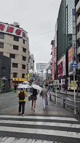 ぬえのグルメのTikTok投稿