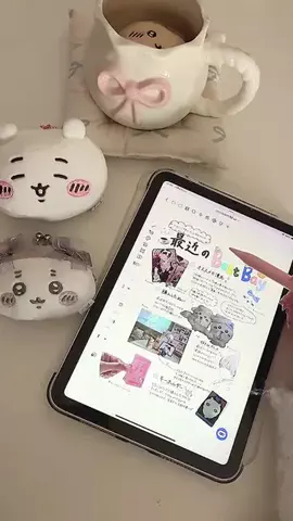 ちゃんめぐのTikTok投稿