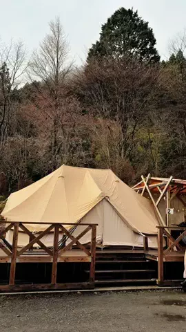 はるとあかりのTikTok投稿