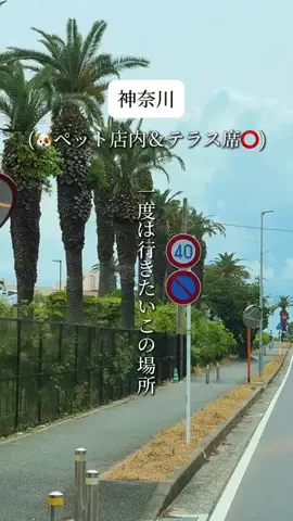ちゃんゆか | 鎌倉逗子、神奈川グルメのTikTok投稿