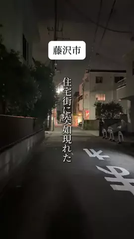 ちゃんゆか | 鎌倉逗子、神奈川グルメのTikTok投稿