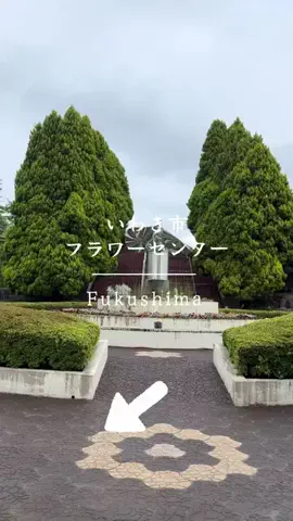 とん（旅動画）のTikTok投稿