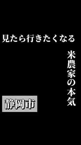 静岡ナビ@デートスポットのTikTok投稿