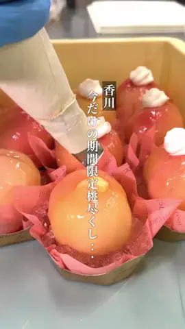 まる⌇香川グルメ観光のTikTok投稿
