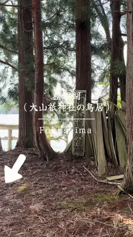 とん（旅動画）のTikTok投稿