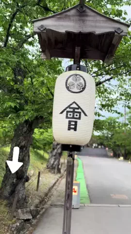 とん（旅動画）のTikTok投稿