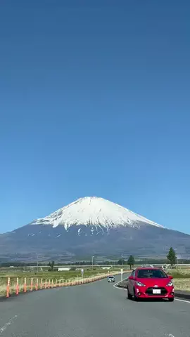 静岡グルメ／SHIZUOKA SELECTのTikTok投稿