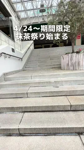 ちい / 市川市民の食べ歩き日記。のTikTok投稿